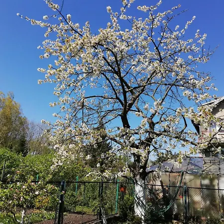 Dom Goscinny Asia Accommodatie bij particulieren *