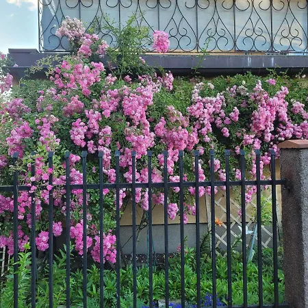 Dom Goscinny Asia Homestay Kolobrzeg