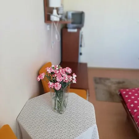 Dom Goscinny Asia 홈스테이 *